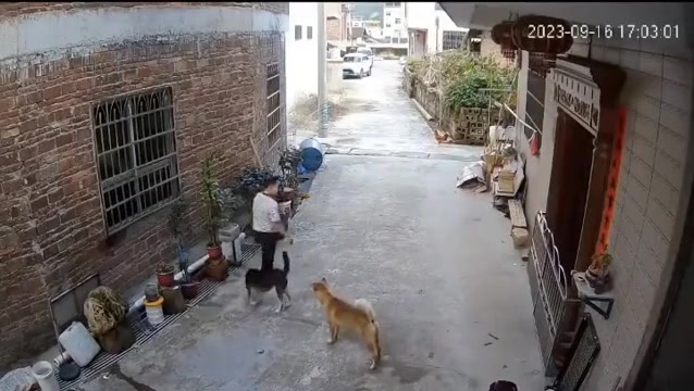 狗子：好朋友是吧？是好朋友就让我来一口！