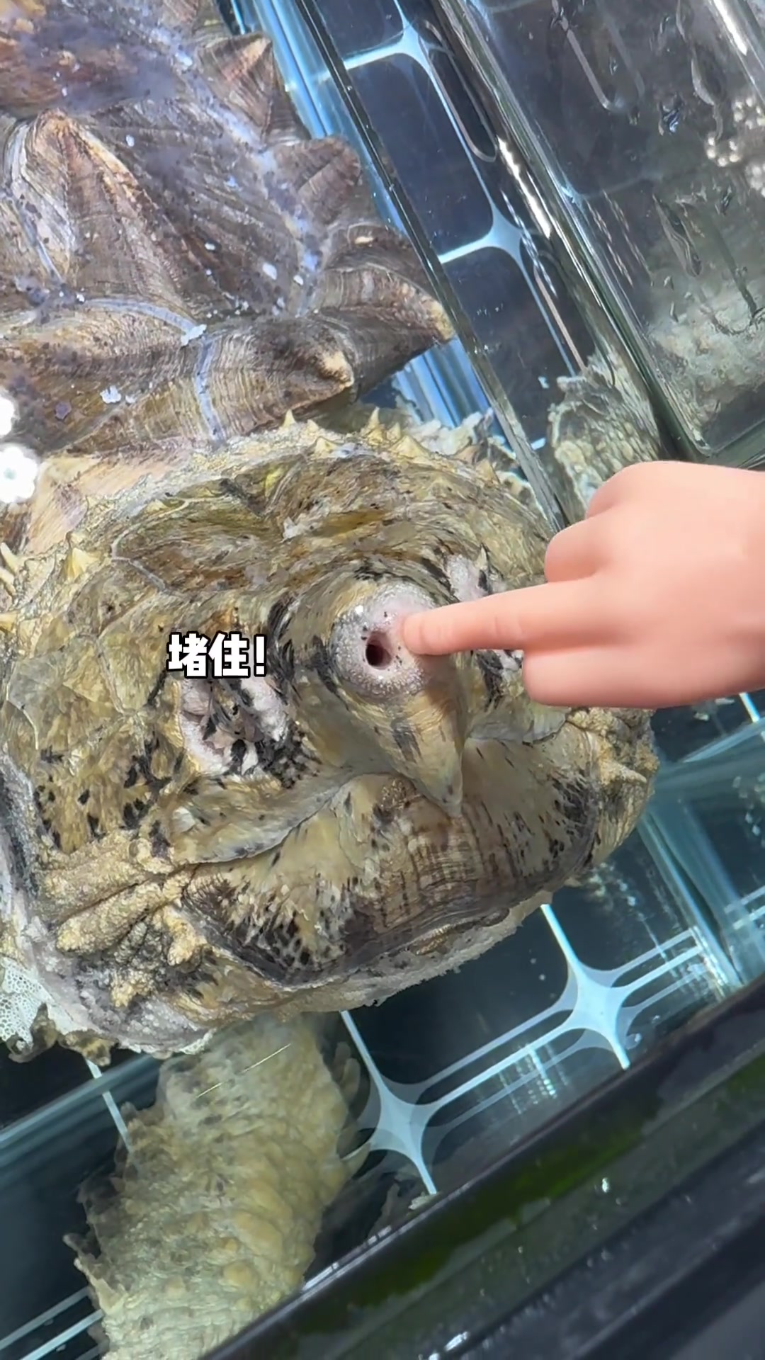敢这么玩？你有三头六臂吗？