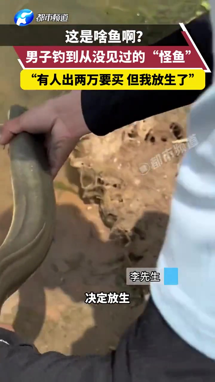 还2w？这不是河鳗吗？有无钓鱼佬鉴定下！