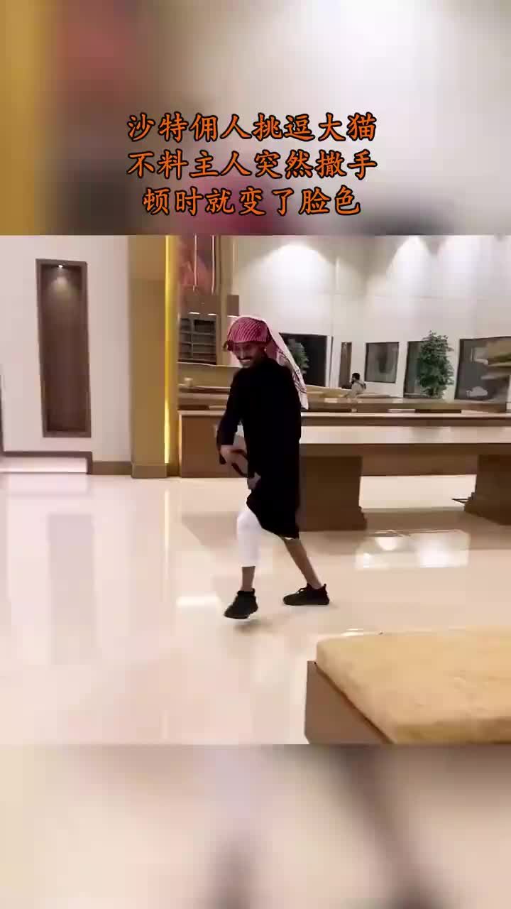 佣人挑逗老虎，不料主人突然撒手，顿时就变了脸色 ！