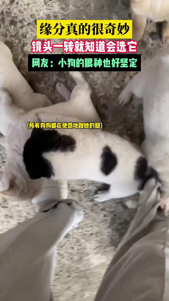 我就知道你只会选我！