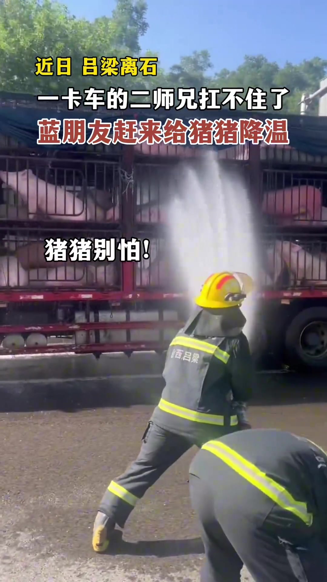 这么热的天二师兄也扛不住啊