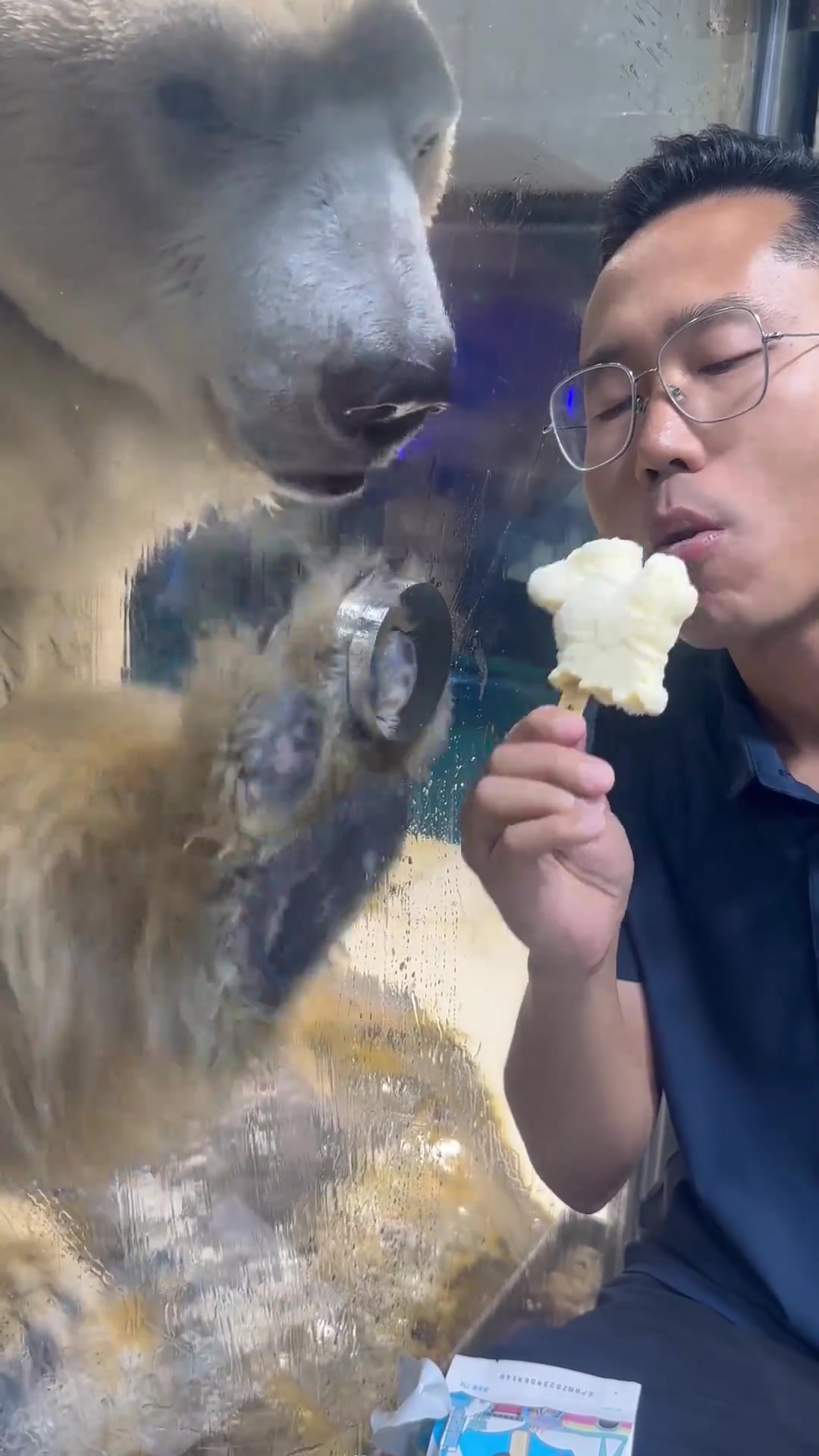 北极熊：有本事进来吃