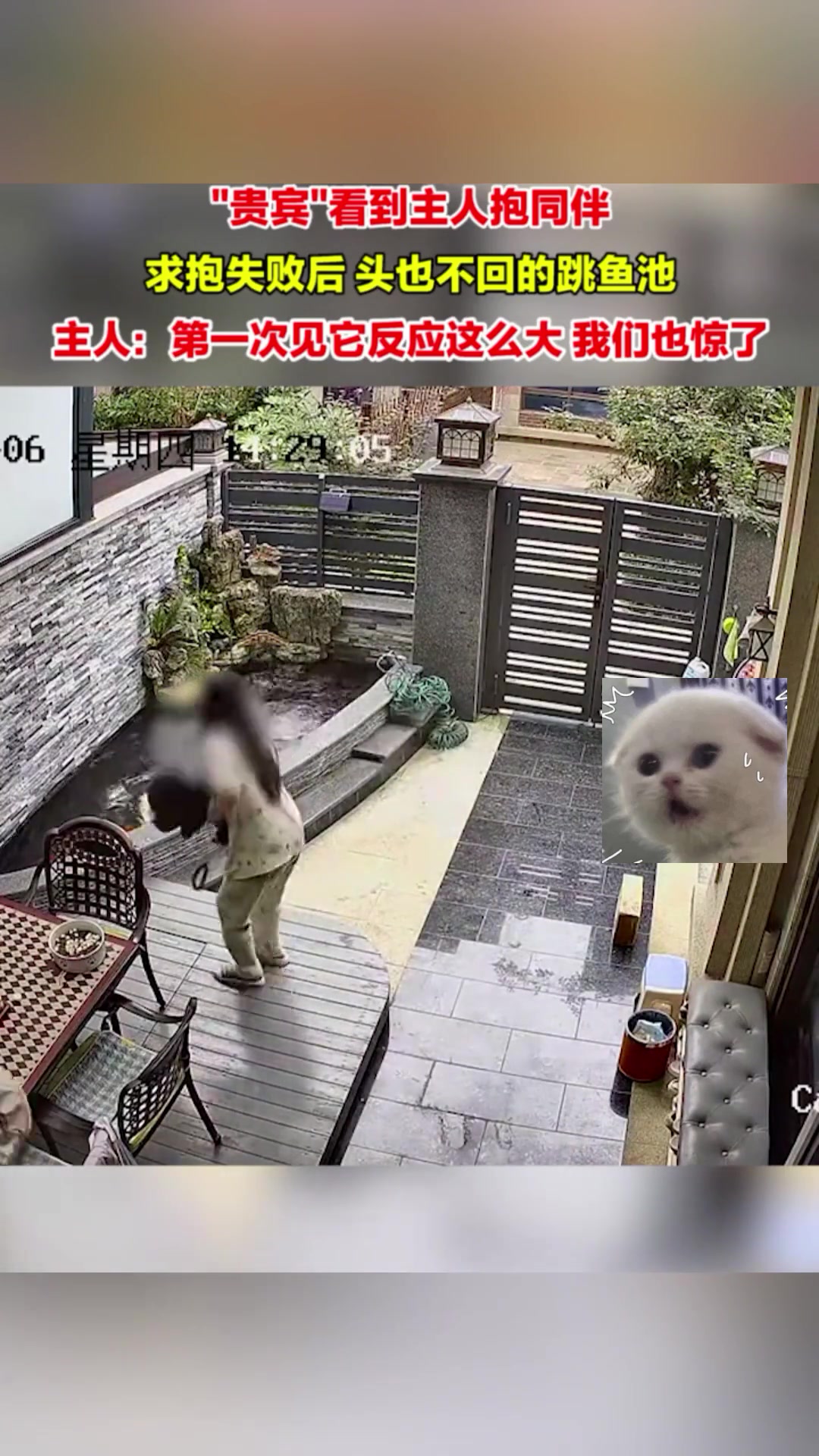 巨贵：八百个心眼子