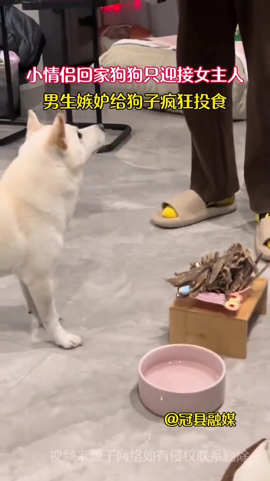 这辈子没打过这么富裕的战！