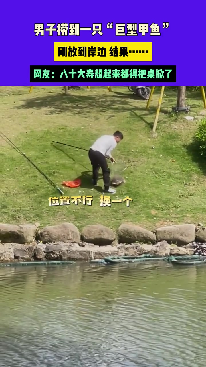 谁说王八跑不快的？八十大寿想起来都得把桌掀了！