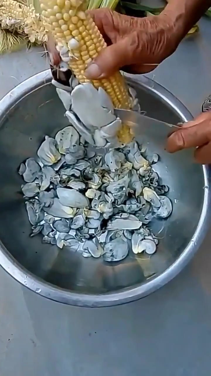 石化了？吧友知道这是什么吗？