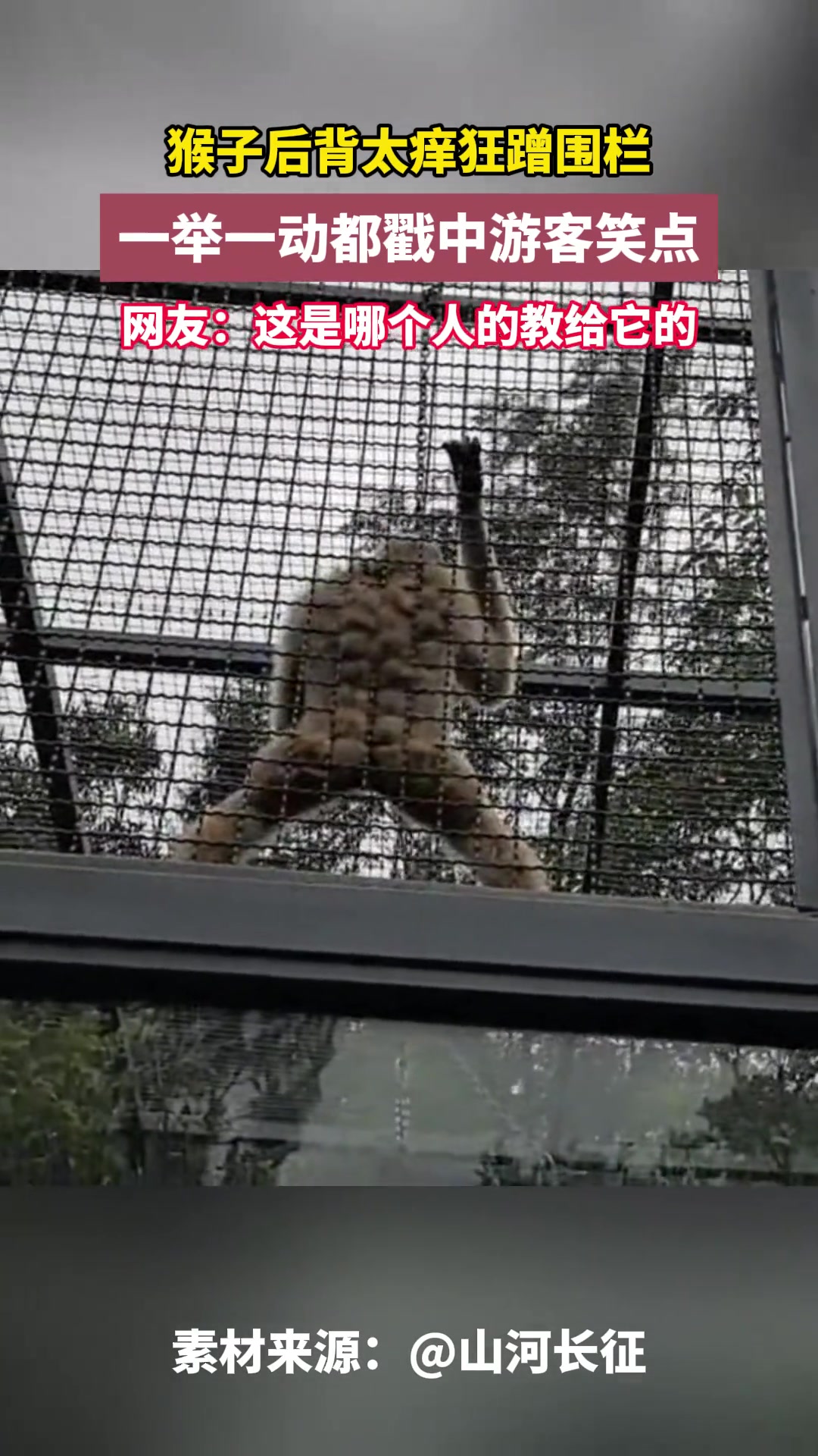 猴哥，你搓澡呢？