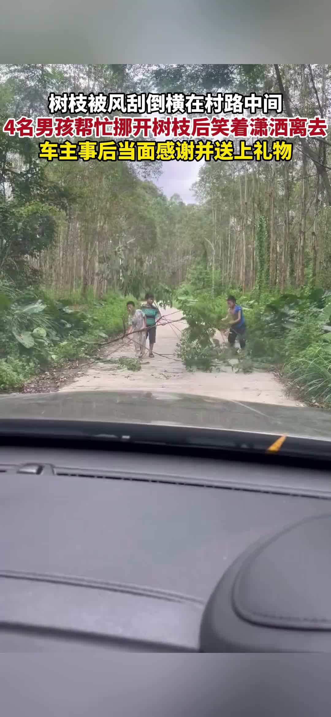 树枝被风刮倒横在村路中间，4名男孩主动帮忙！
