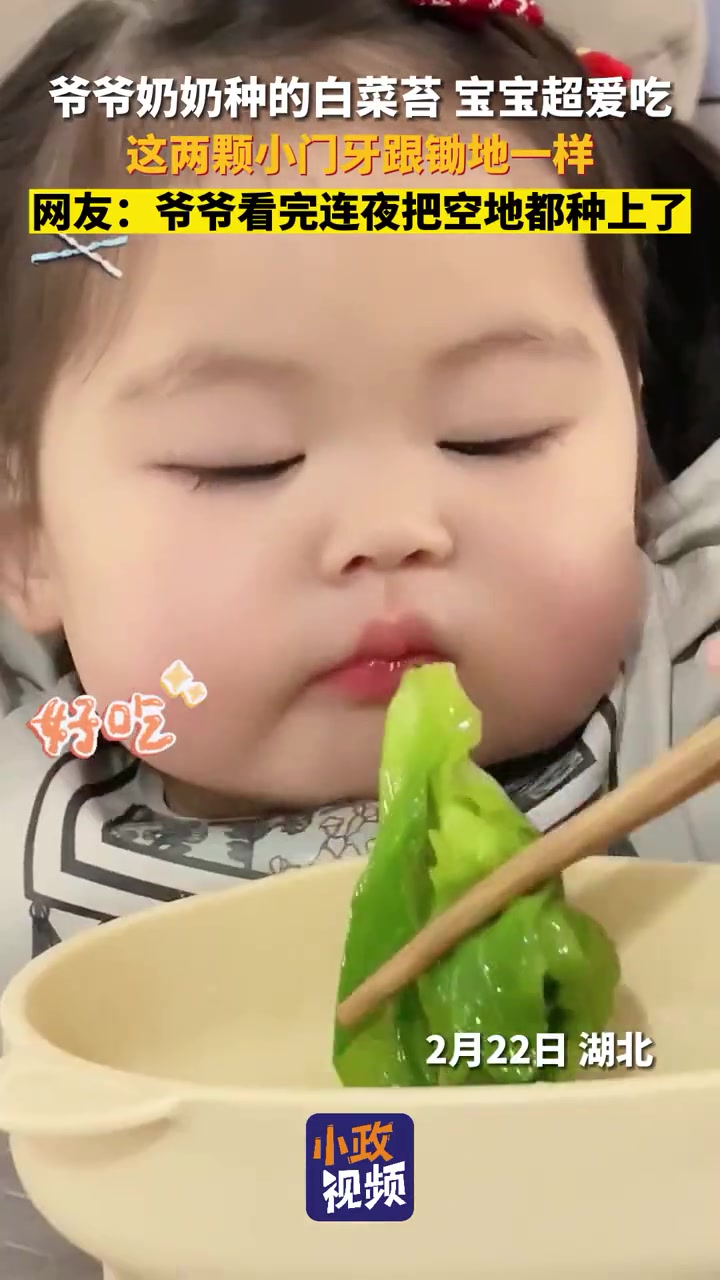 幼崽宝宝超爱吃爷爷奶奶种的白菜苔，这吃相看着都香