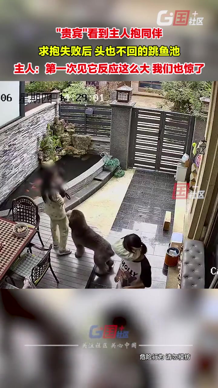 “贵宾”求抱失败后，头也不回的跳鱼池！
