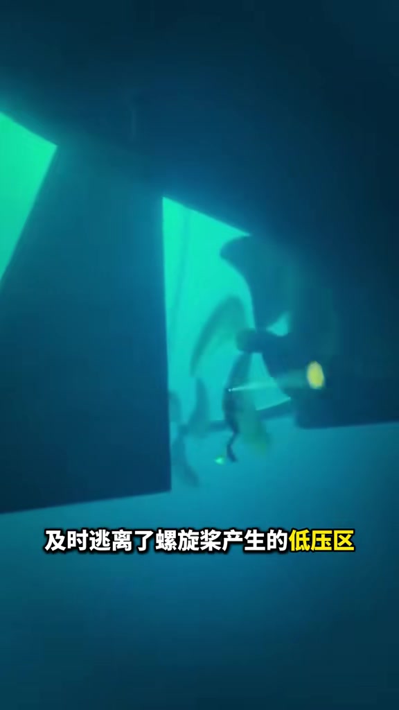科普螺旋桨前潜水真的很要命！