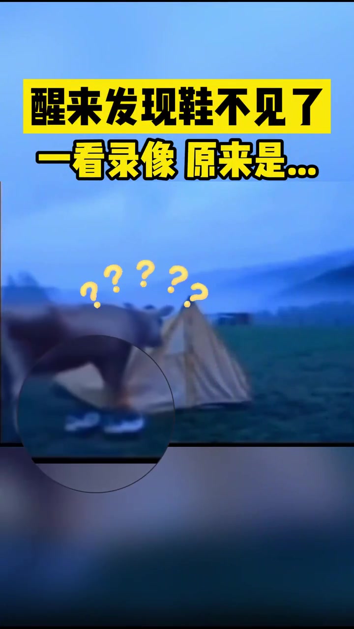 露营醒来发现鞋不见了，一看录像原来是……