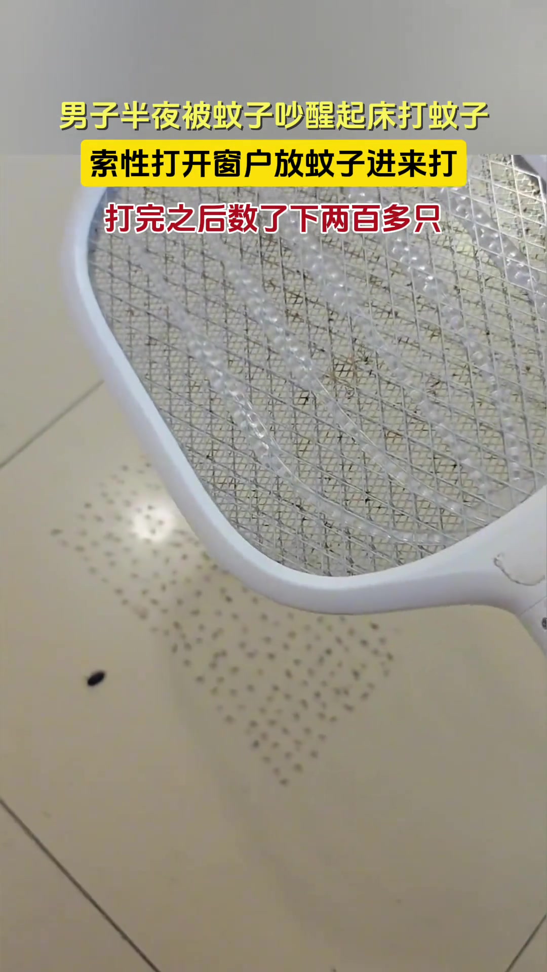 男子半夜被蚊子吵醒，恼羞成怒打开窗，结果一下打到爽