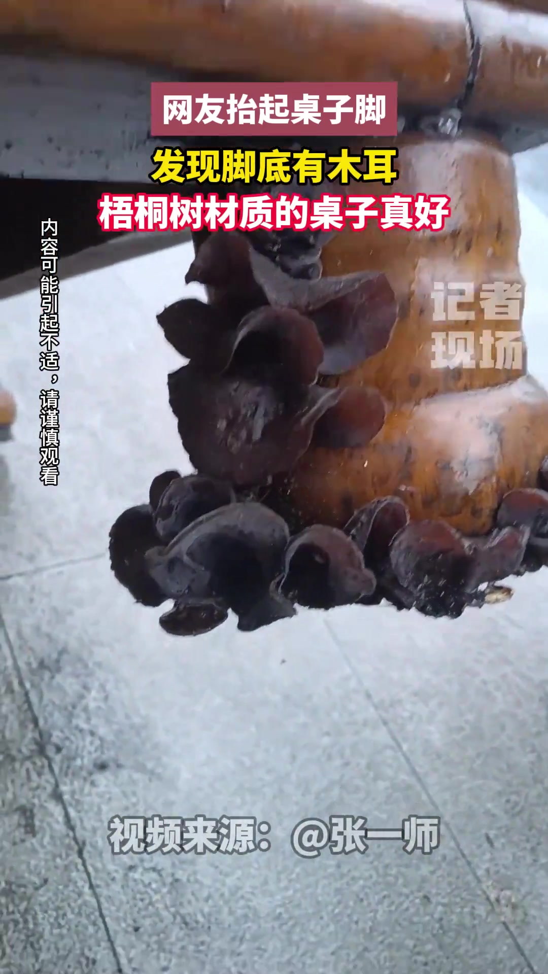 桌子长蘑菇这种好事谁想要呢？