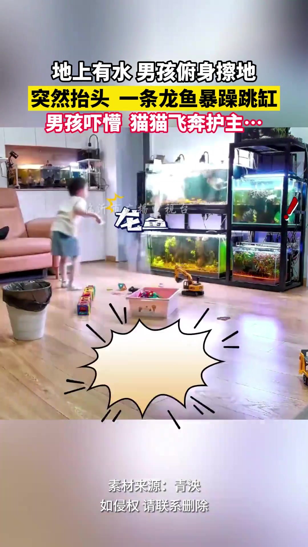 龙鱼突然暴躁跳缸，吓得俯身擦地男孩一激灵…
