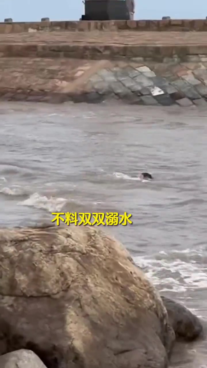 母亲孩子双双落水 母亲拼了命也要把孩子托出水面
