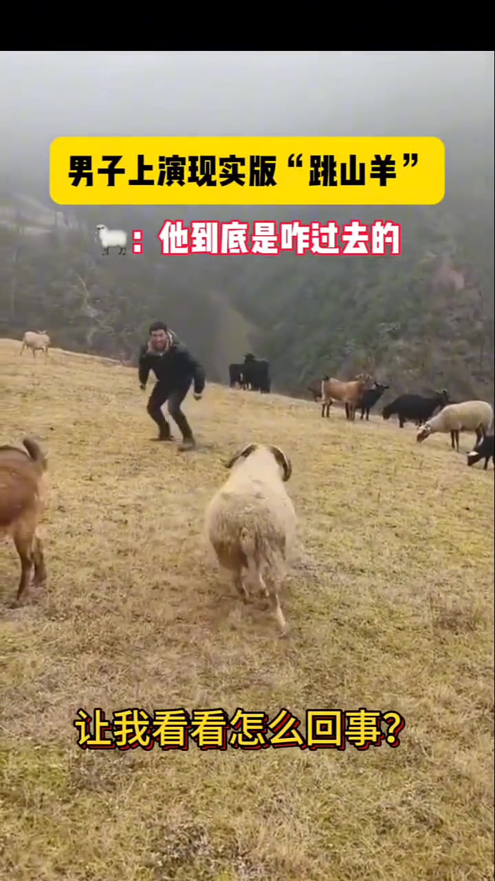 羊：我可以失误一百次，你只能失误一次就够了！