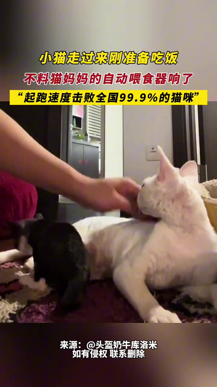 娃儿你等会吃，为娘吃饱先