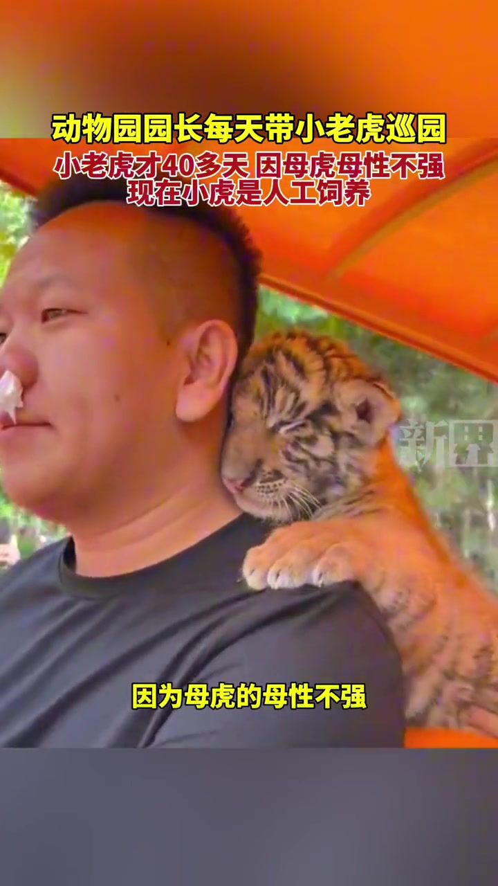 不懂就问，去哪可以养一只