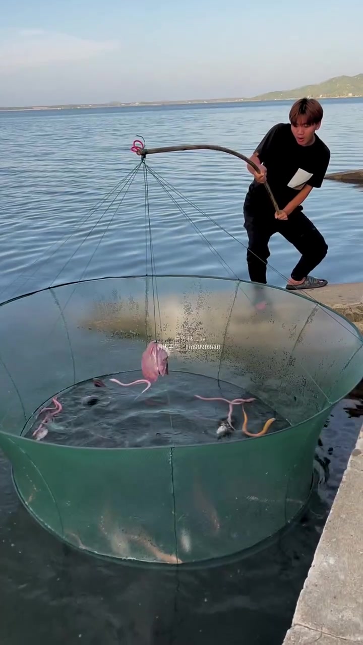 除了鲶鱼怎么还捞了一堆海蛇呀