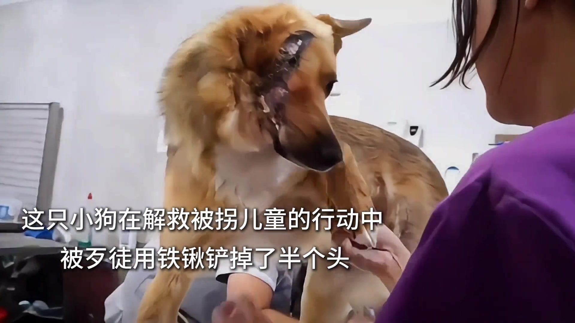 谁都可以是英雄！