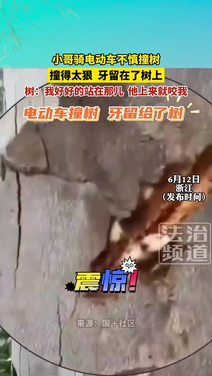 树都哭半天了，不但撞我，他还咬我！