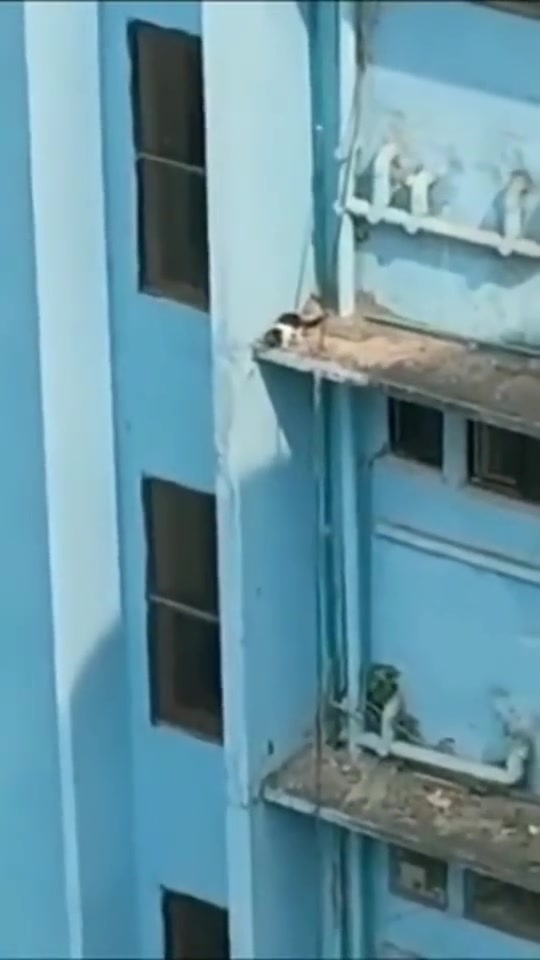 不好，翻车了翻车了~