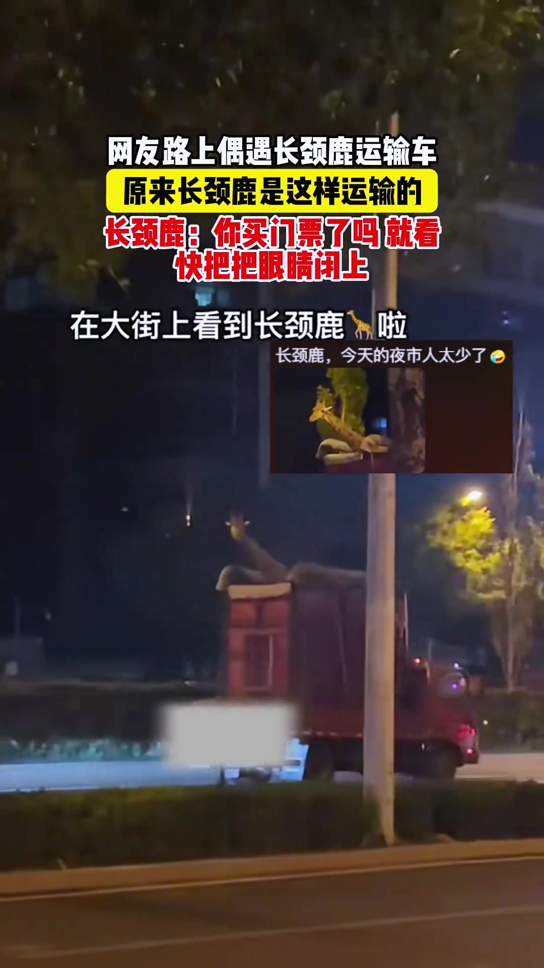 原来长颈鹿这么运输的呀！