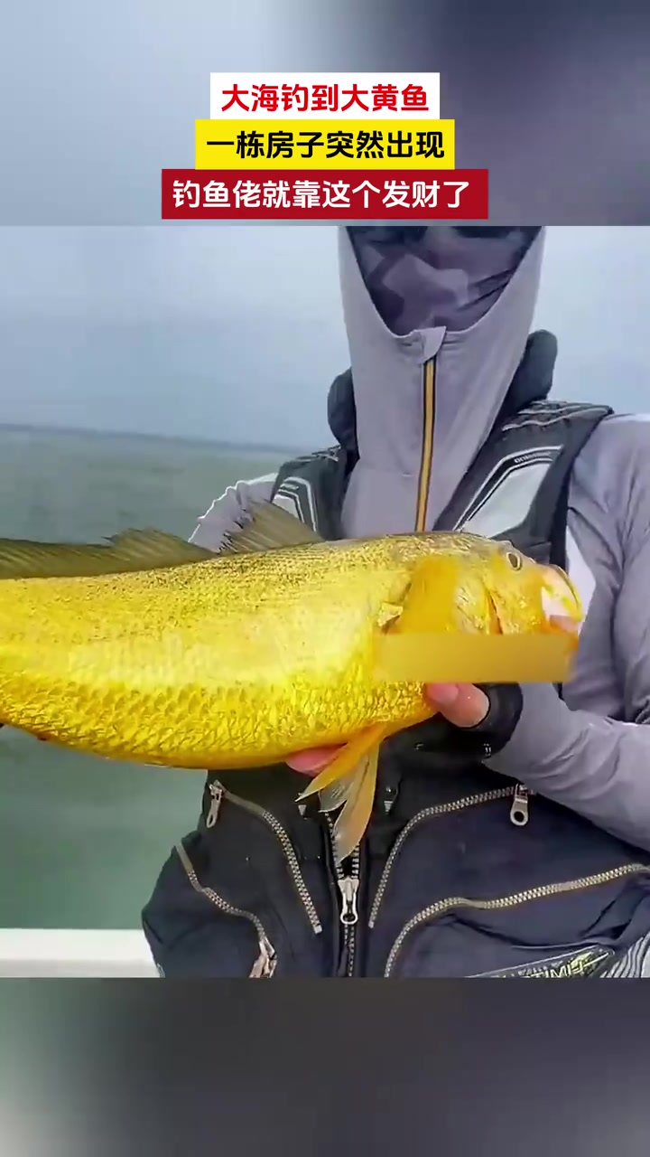 金鳞岂是池中物！钓鱼佬这下赚大了！这是啥鱼呢？