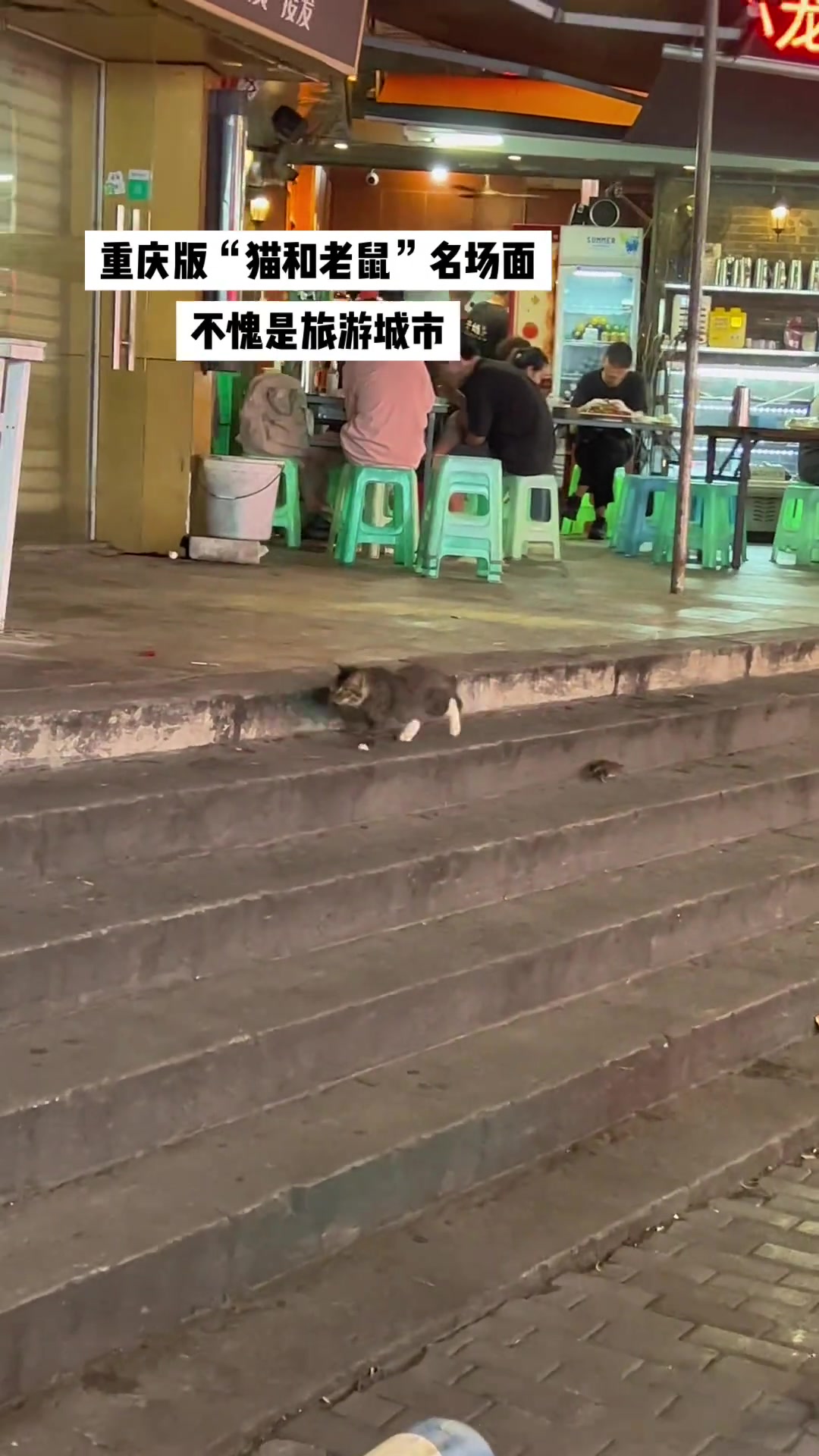 重庆版“猫和老鼠”名场面