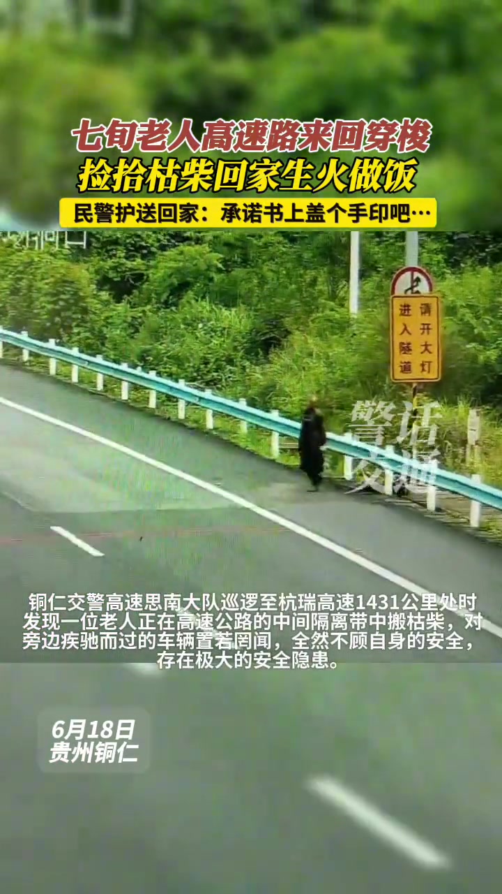 好危险！七旬老人高速路上捡柴火，对来回车辆置若罔闻