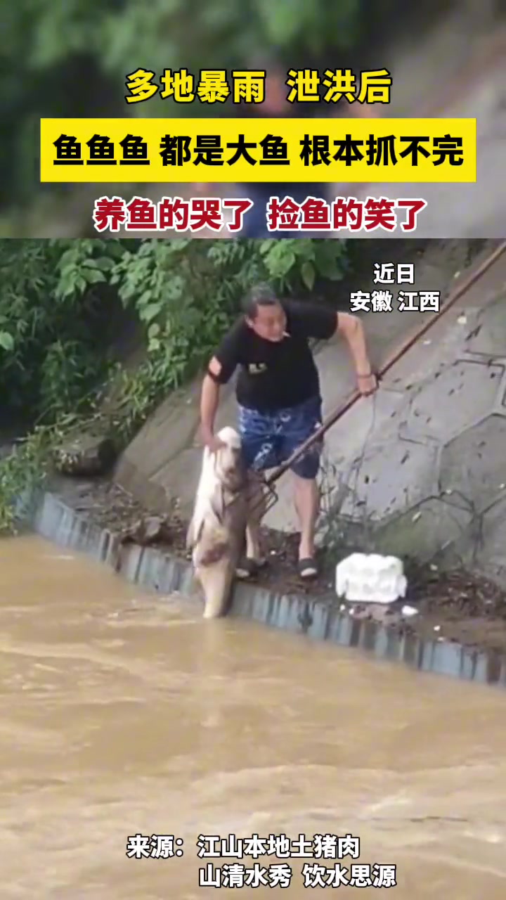 多地暴雨泄洪后，养鱼的哭了，捡鱼的笑了