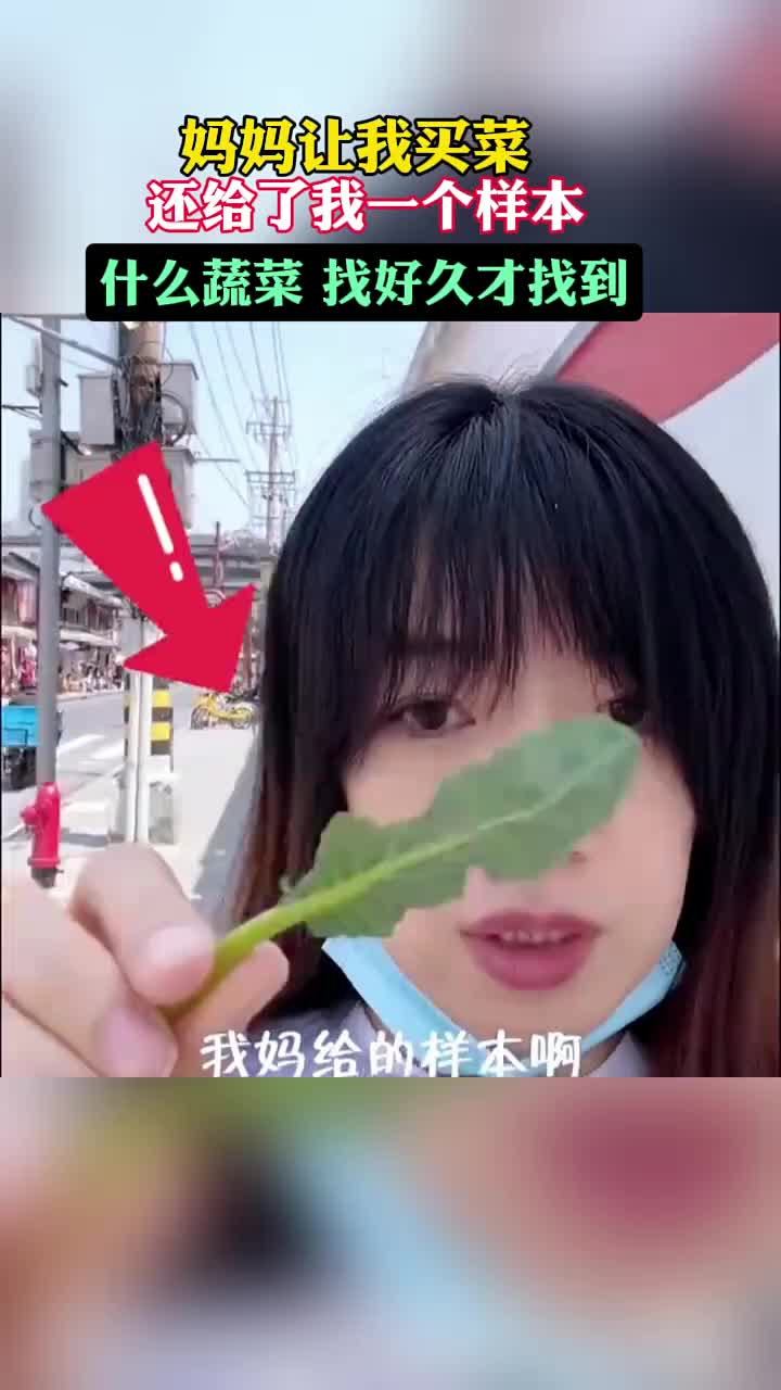 妈妈给了女儿一片青菜“样本”，让女儿去市场一通找！