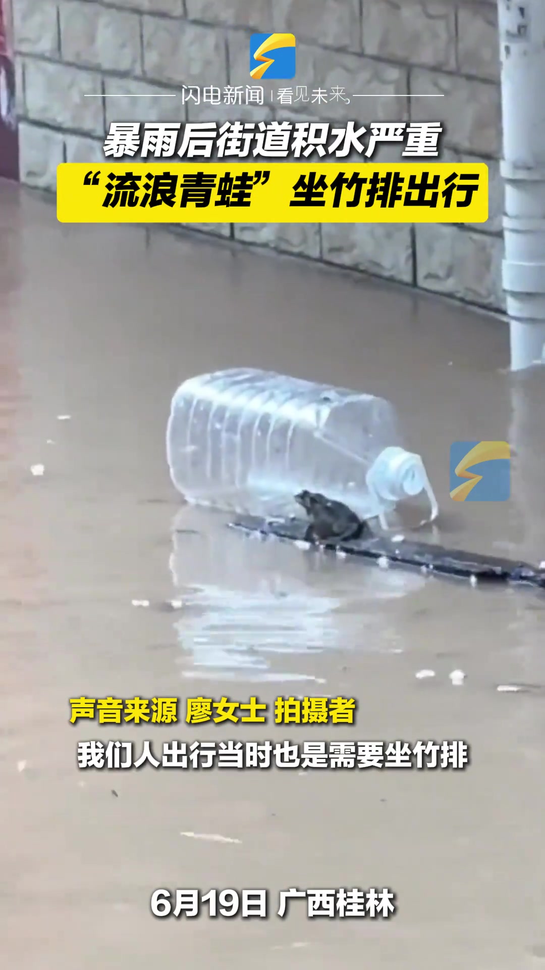 暴雨后街道积水严重，“流浪蛤蟆”坐竹排出行