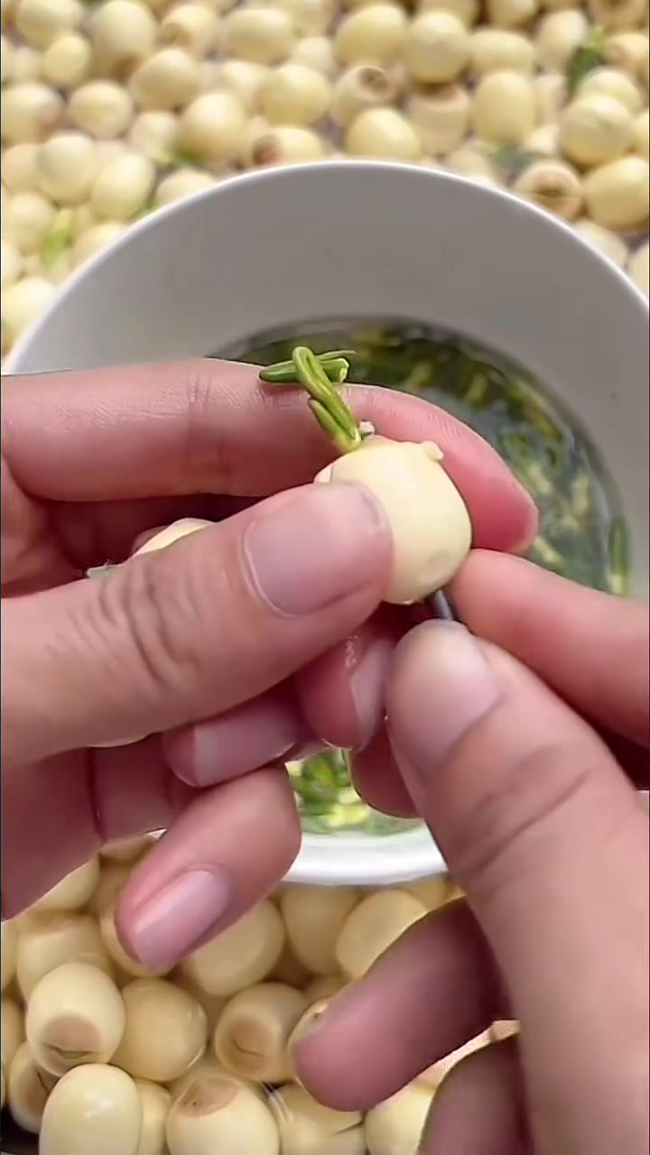 吃过这玩意，不去芯的话苦的不行