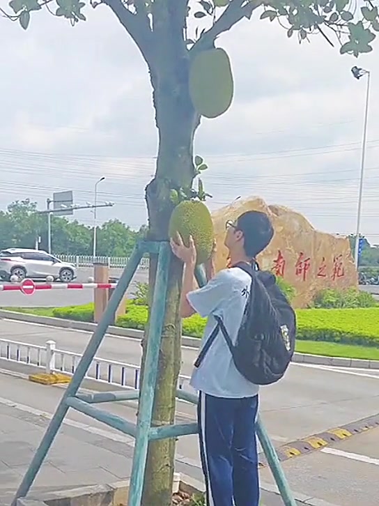 这是菠萝蜜吗？男同学拿了就跑，给他爽到了