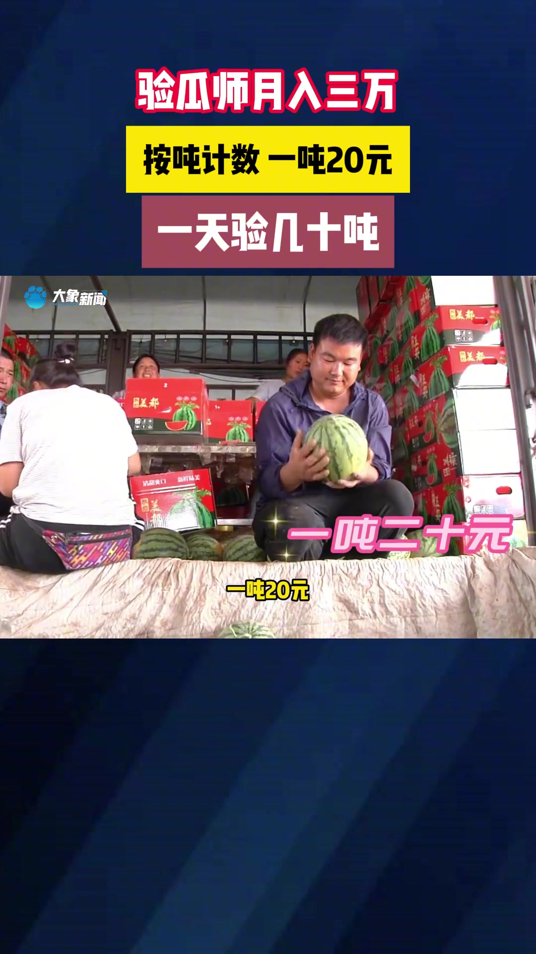 第一次听说“验瓜师”这个职业，竟然月入三万