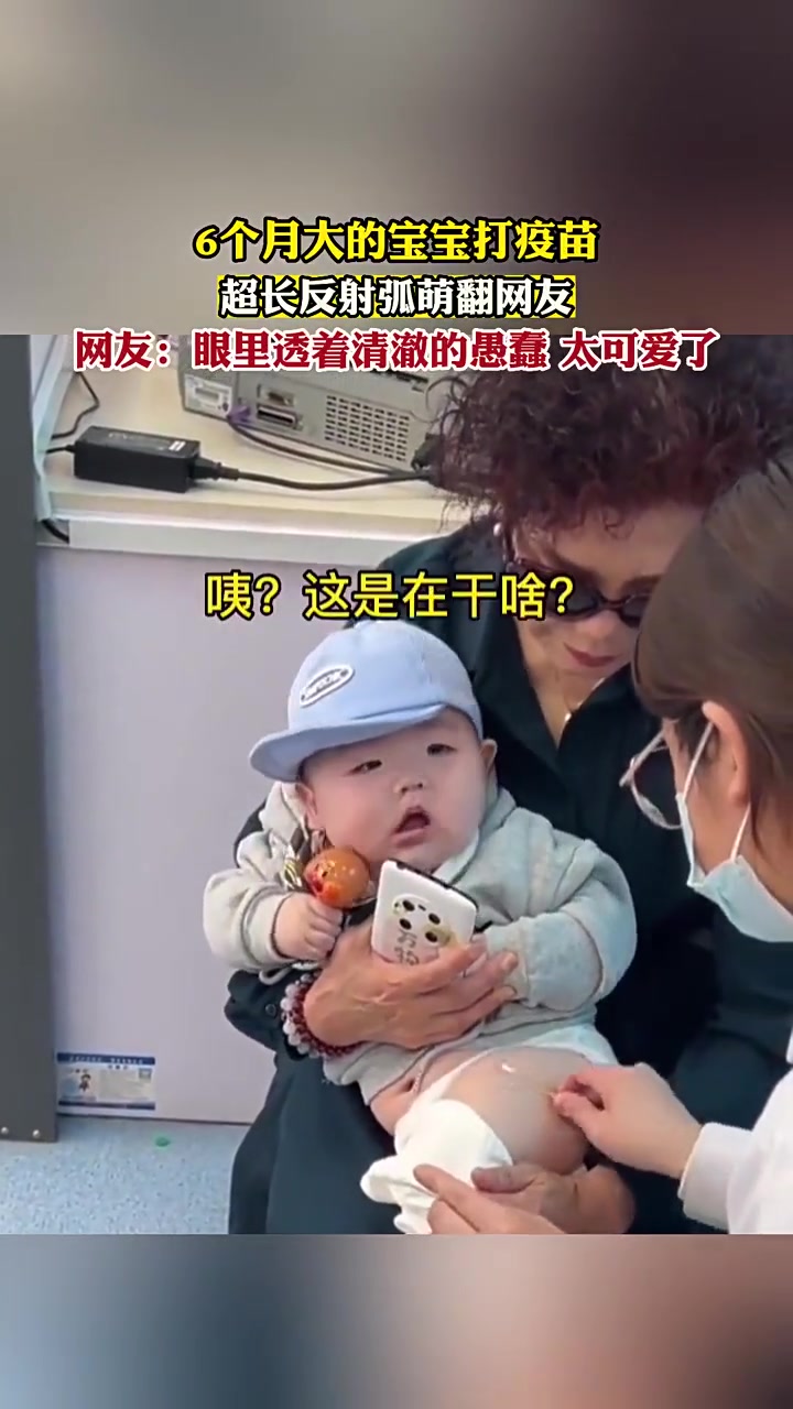 这可是奶奶的梦中情孙