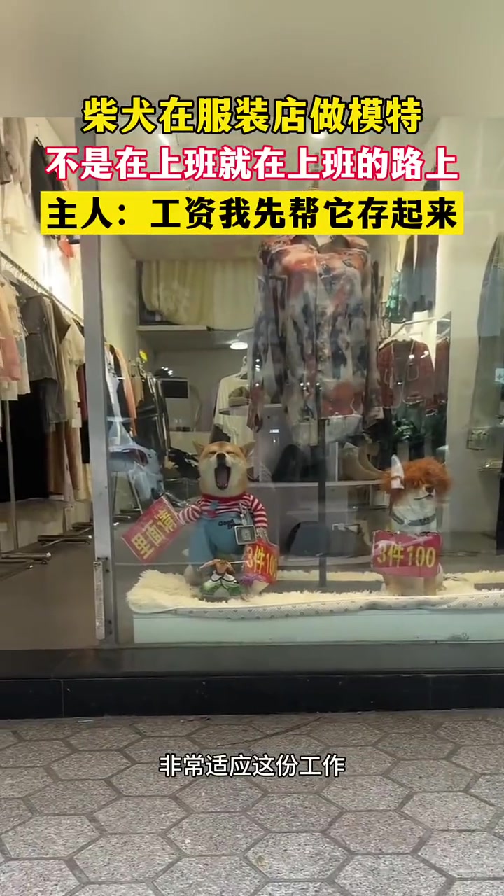 像不像你妈小时候说的，管吃管住