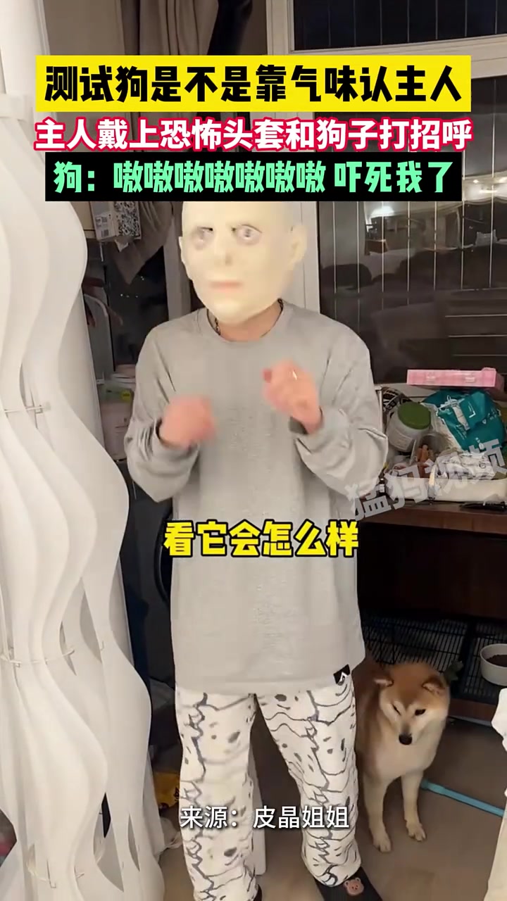 啊啊啊啊快去请林正英！