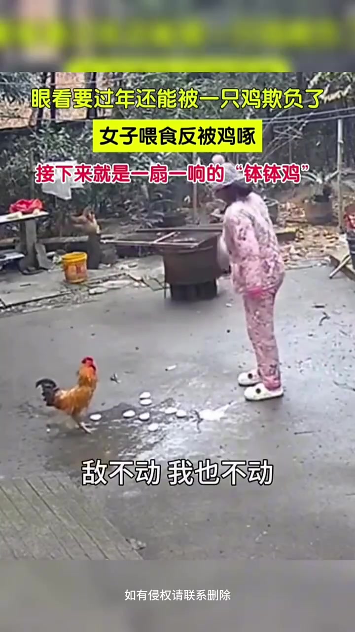 鸡:你都要噶我了 我还不能反抗？