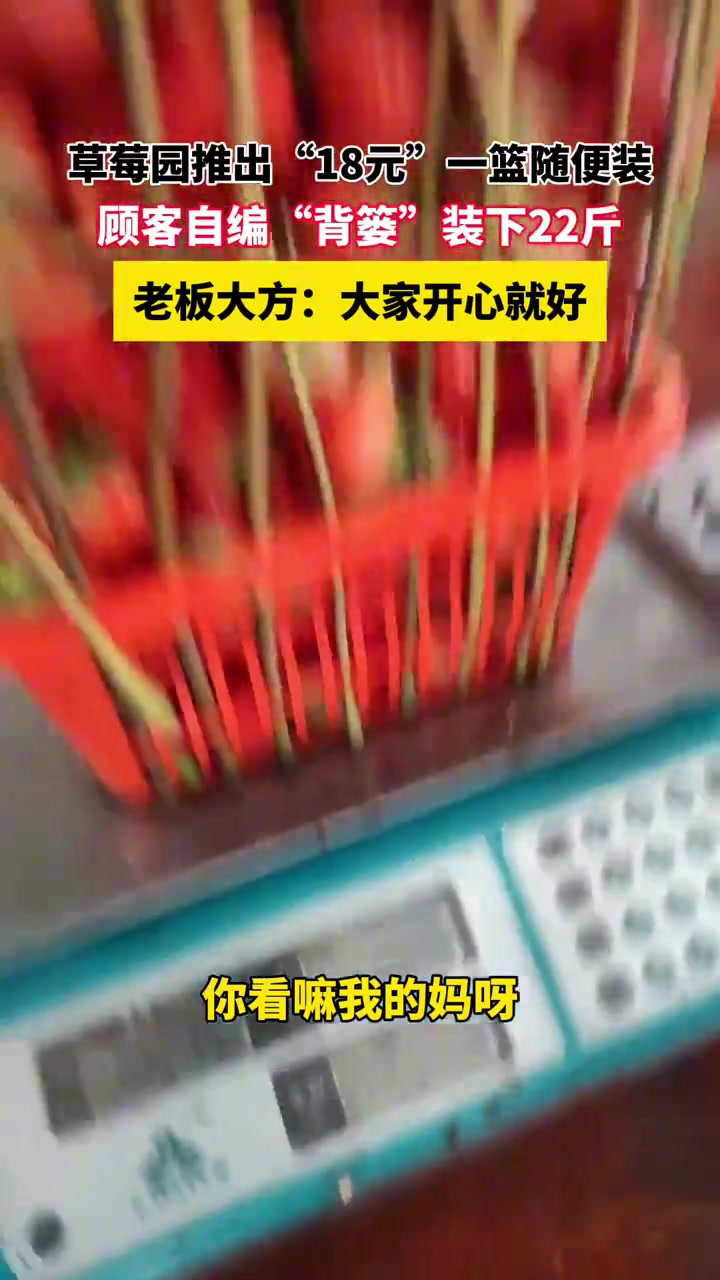 玩得起是好事，但不能经常玩。