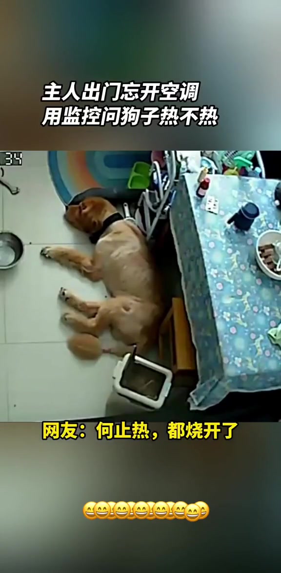 这都开锅了，能不热嘛