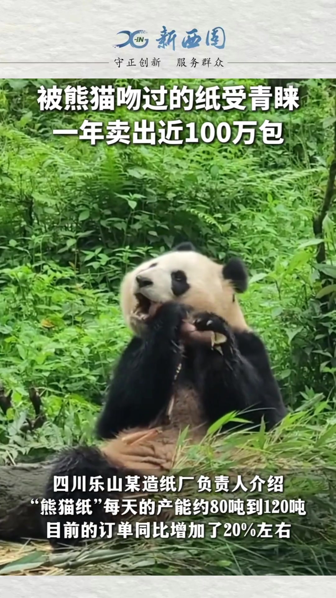 “被熊猫吻过的纸”受青睐，一年卖出近100万包