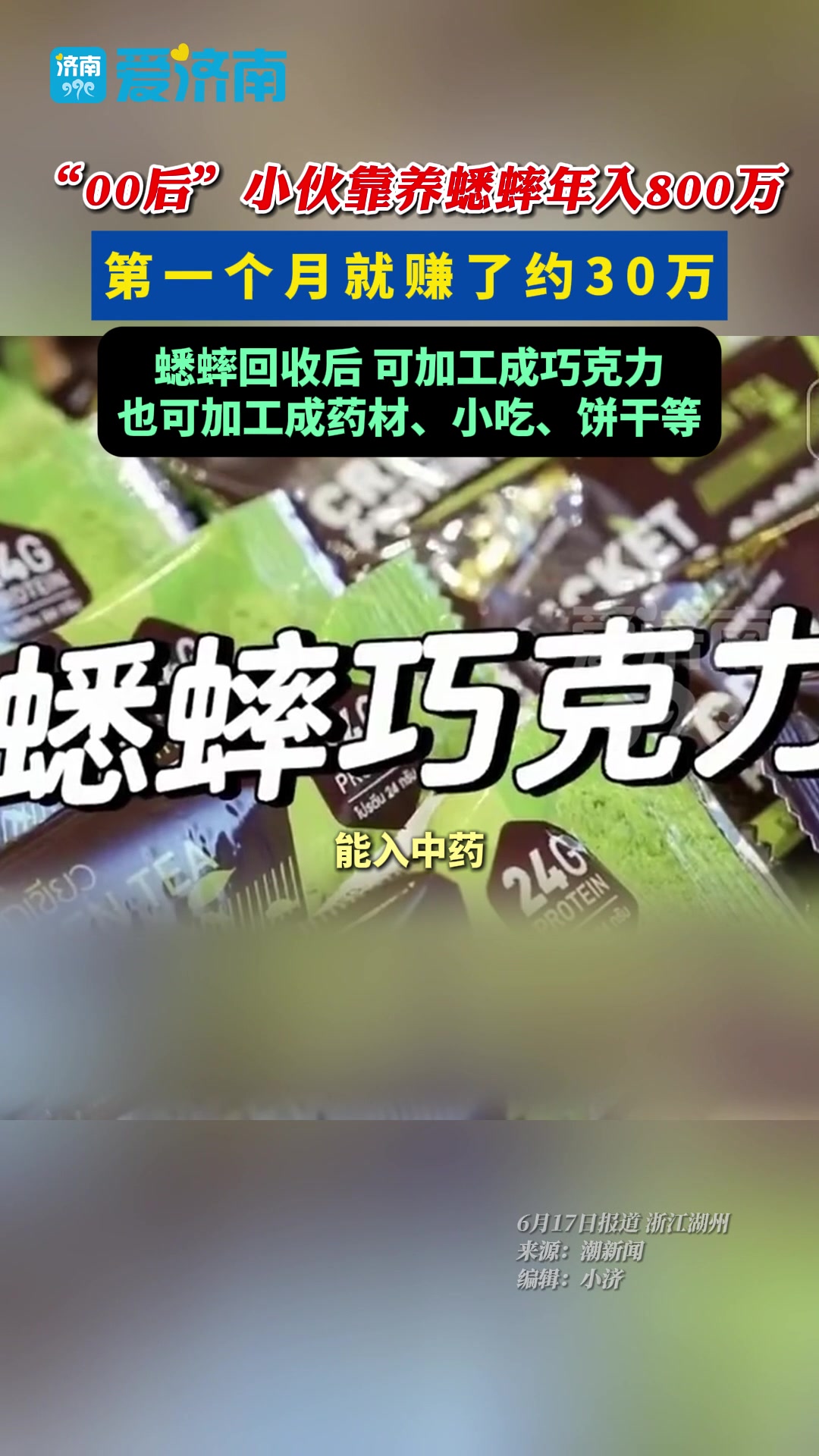 00后养蟋蟀年产值800万！我也想去创业了！