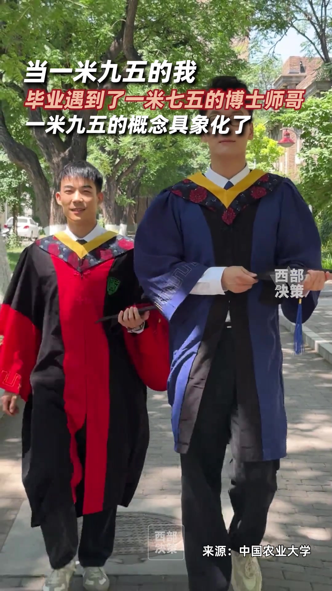 当175的我遇上了195的师弟！