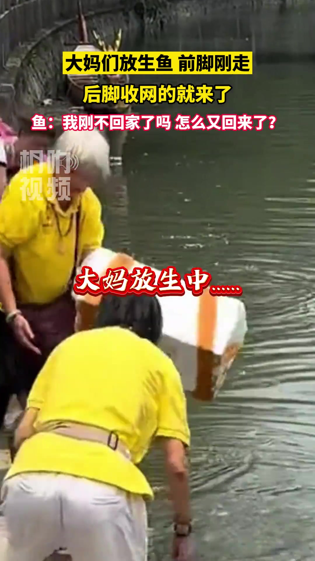 大妈们放生鱼前脚刚走 后脚收网的就来了