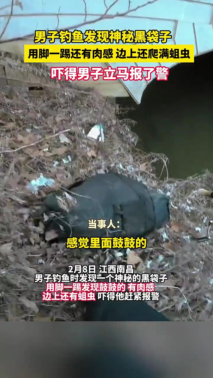 钓鱼佬真的是除了鱼什么都能钓到