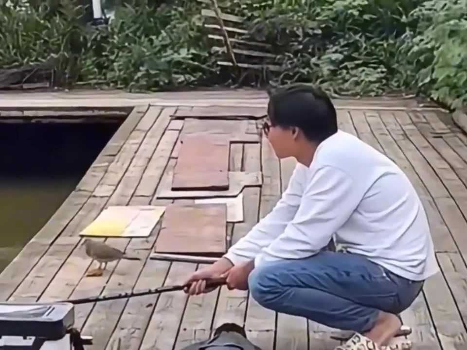 钓鱼佬永不空军！